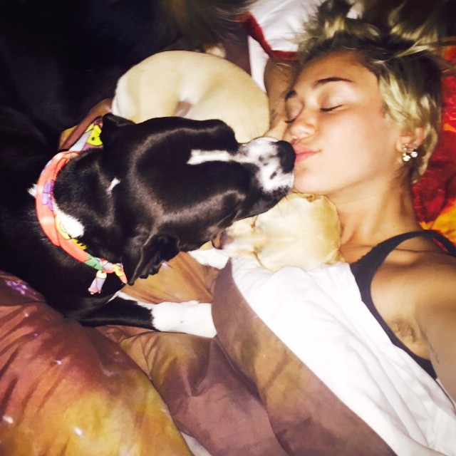 Miley-Cyrus-Dog-Licking-Face-1