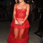 Vanessa Hudgens from High School Musical in a Sexy See through red Dress