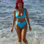 Farrah Abraham in a bikini