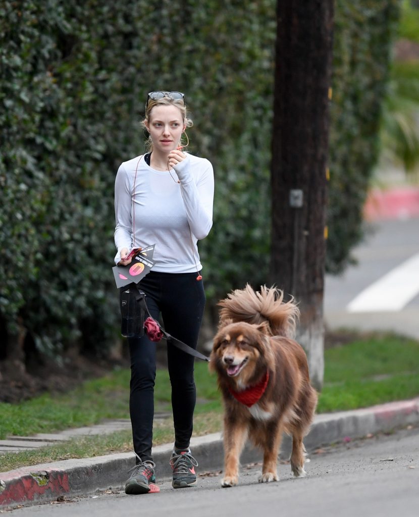 Amanda Seyfried Mom with Mom Tits with her Free Class Coupons Walking a Dog