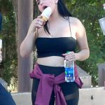 Ariel Winter is a BIG girl in a Tiny Top