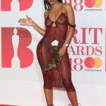 IAMDDB nipples in a see through red dress at the BRITS