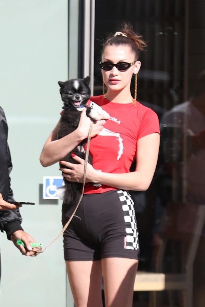 Bella Hadid Cameltoe Tight Shorts No Bra with dog