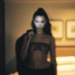 Bella Hadid Nipples in See Through Bra on Instagram 7