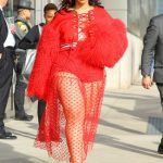 Dascha Polanco red see through dress with red panties
