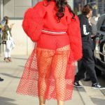 Dascha Polanco red see through dress with red panties