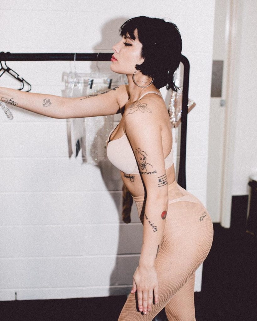 Halsey Nude Bra and Panties with Fishnets