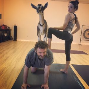Lily Mo Sheen Ass in Leggings Yoga