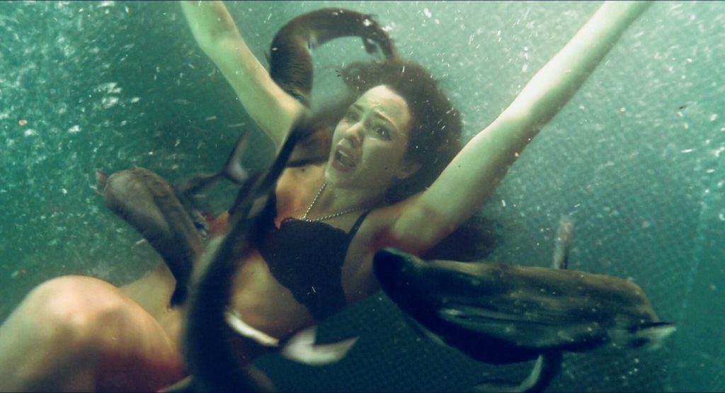 Katharine Mcphee Bikini Eel Erotica Underwater Of The Day