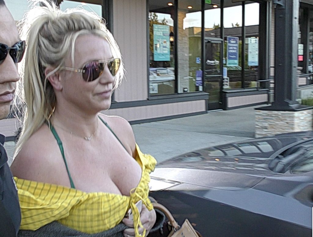 Britney Spears Got Them Titties On 2