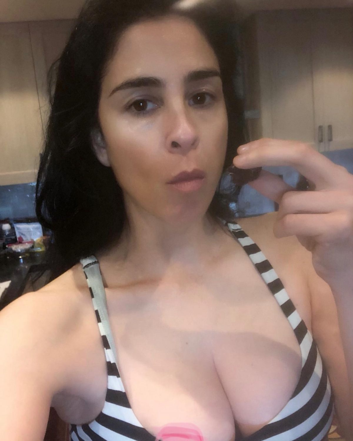 Sarah Silverman Titty Art Of The Day 4154