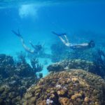 Sailor Brinkley Cook Underwater Bikini