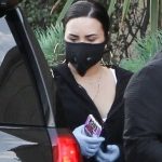 Celebs in Masks Demi Lovato