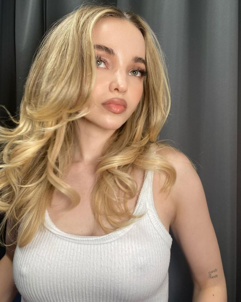 Dove Cameron Hard Nipples Of The Day 