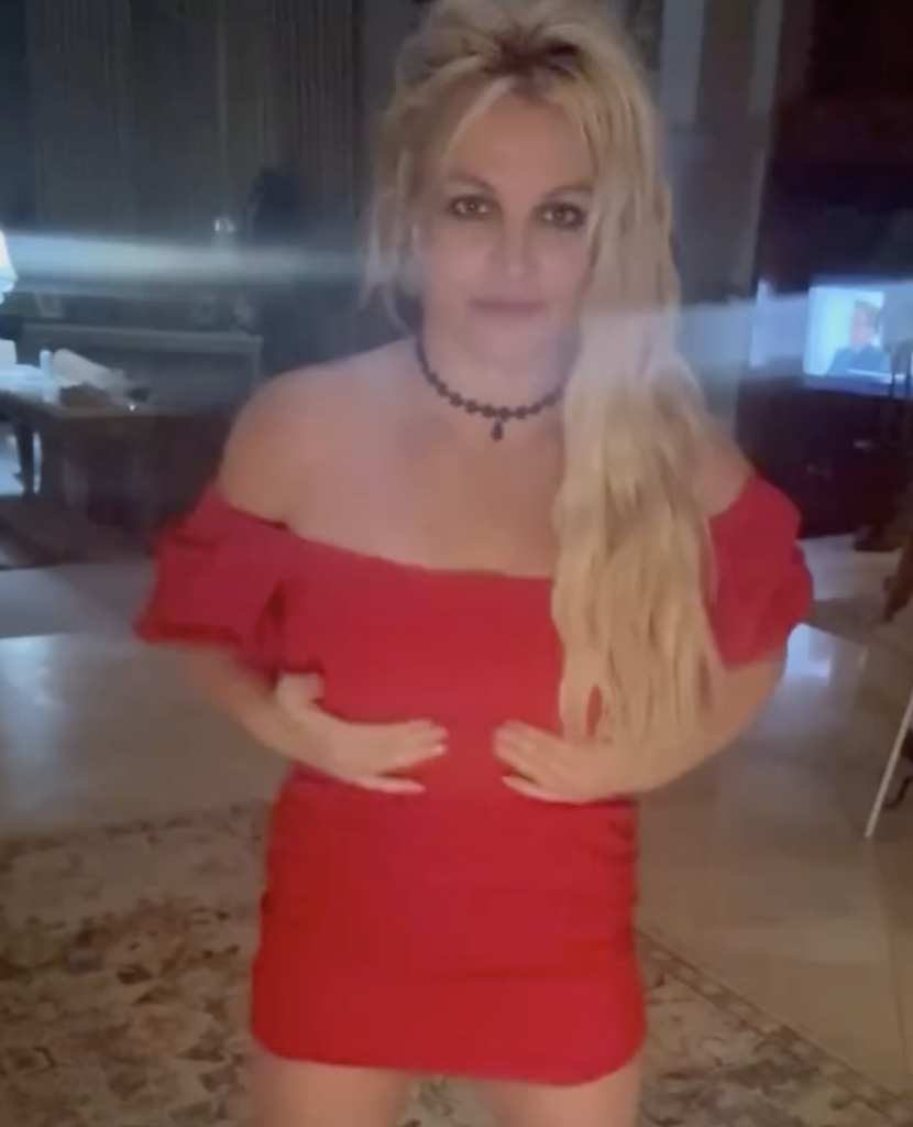 Britney Spears Hostage Video Shows Off Favorite Dress of the Day