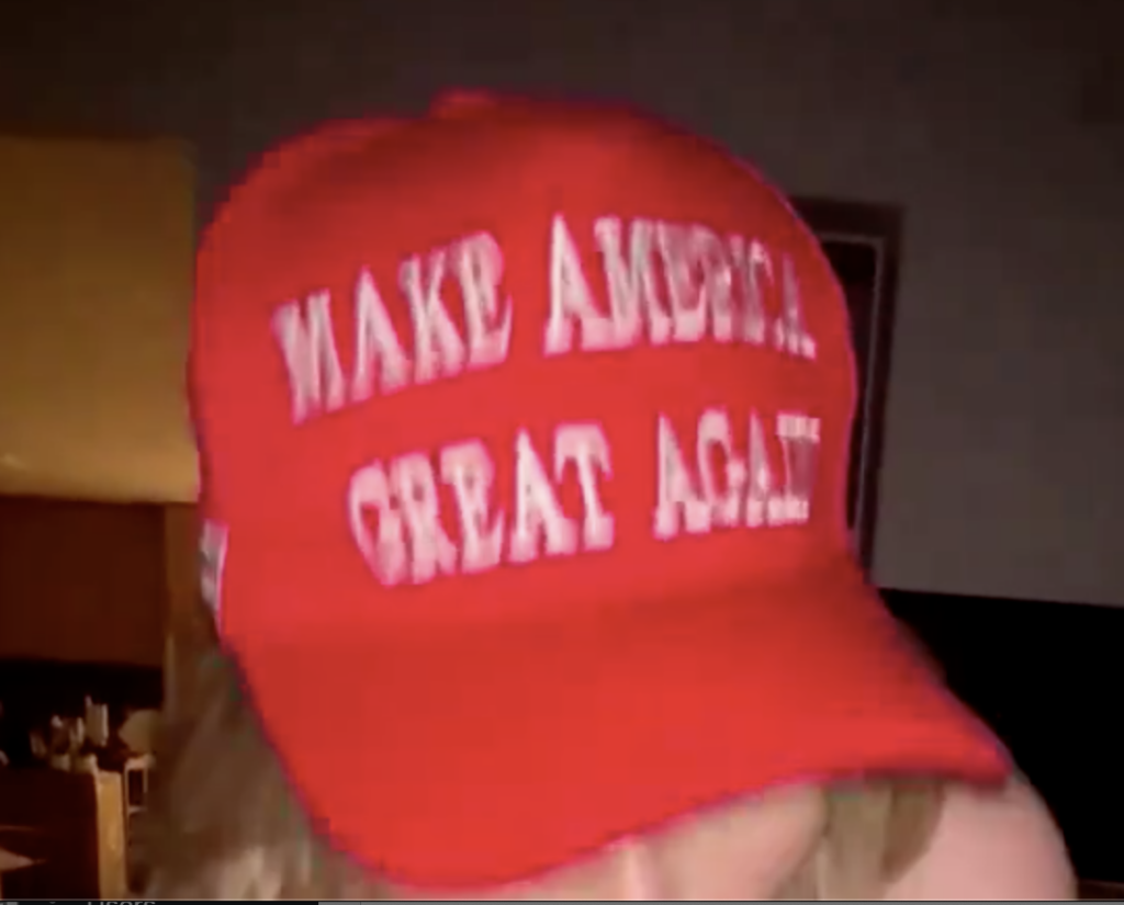 Ava Louise Simulates a Dick Suck in a MAGA Hat of the Day